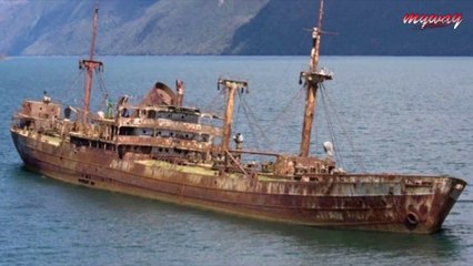নিখোঁজ জাহাজ ৯০ বছর পর বারমুডা ট্রাঙ্গেল থেকে ফিরে এলো | Ship Reappears 90 Years After Going Missing