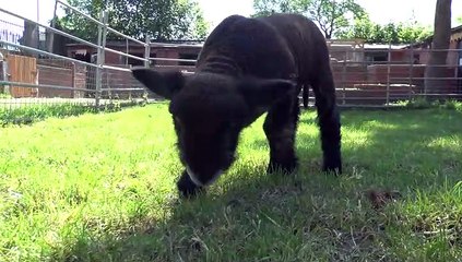 GOODLINES: 17th May 2019