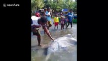 Indonesian residents rescue stranded dolphin stuck in fishnet