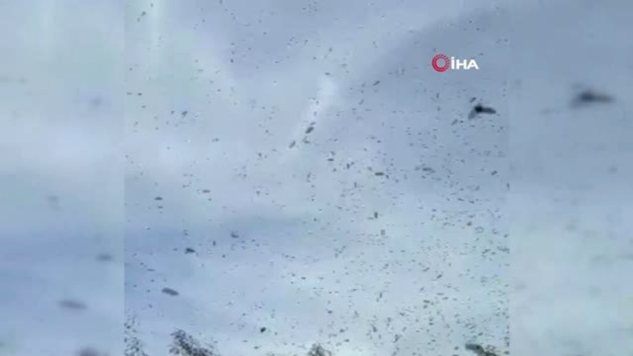 Kovanlarına Sığmayan Binlerce Arı Böyle Görüntülendi
