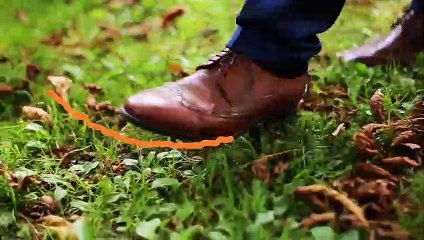 Why don't humans have tails?