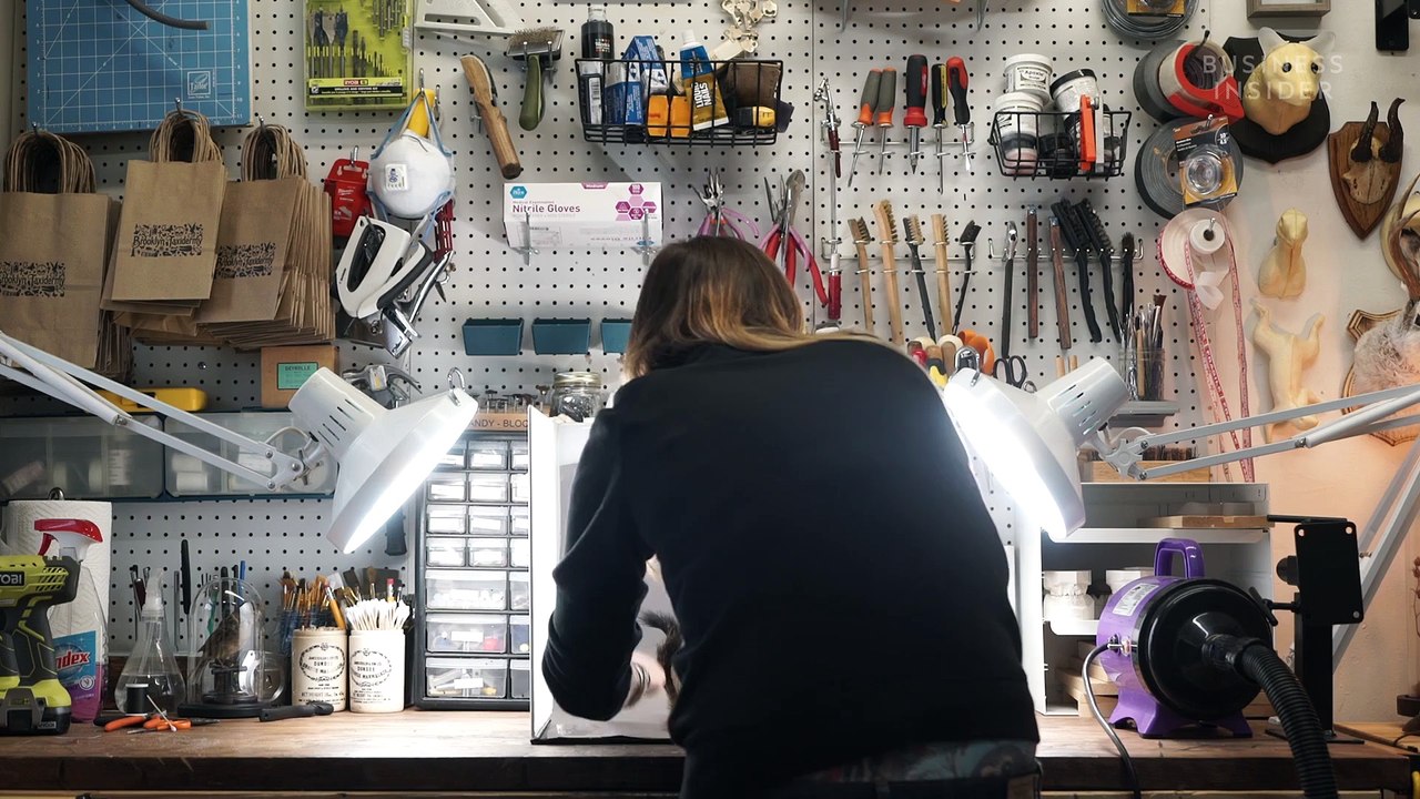 What it takes to be a professional taxidermist