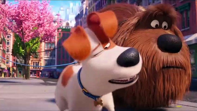 Trailer do filme Pets A Vida Secreta dos Bichos 2