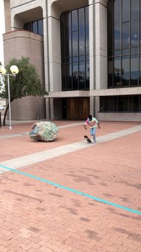 Skater Climbs Staircase in Style