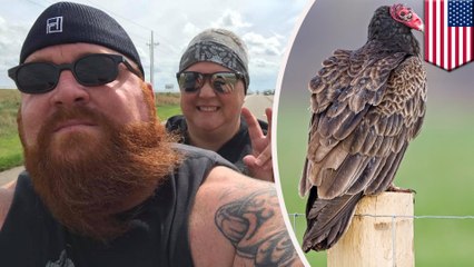 バイクで道路を走行中 ハゲワシに襲われた夫婦が死亡 - トモニュース