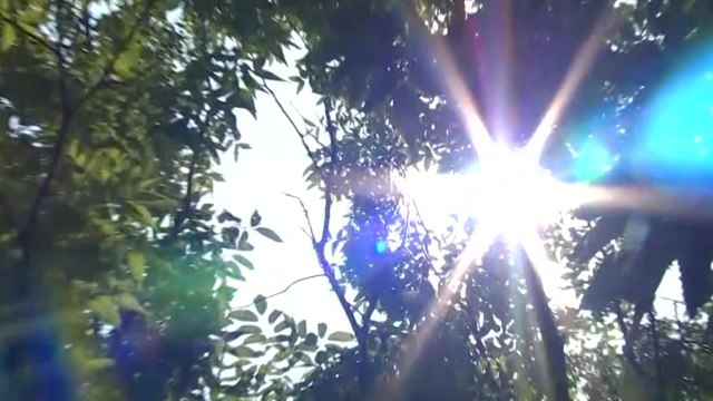 5월 중순에 폭염...점차 빨라지는 '폭염 특보' / YTN