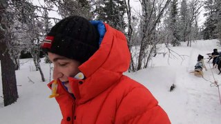 2019.03 Lofsdalen 1 trip with dog sled