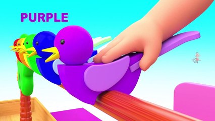 Learning Numbers & Colors with Wooden Birds Toy Set 3D Colors for Kids Baby Children Educational