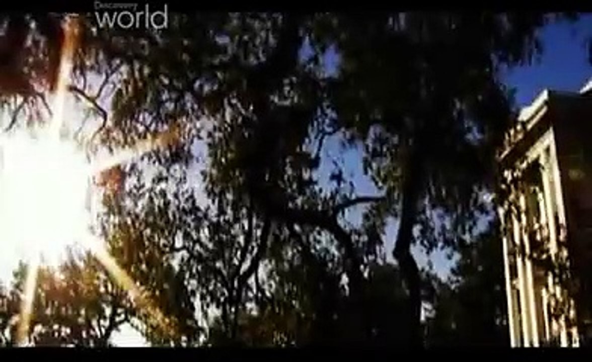 Ekstremalna Kryminalistyka - Obsesja