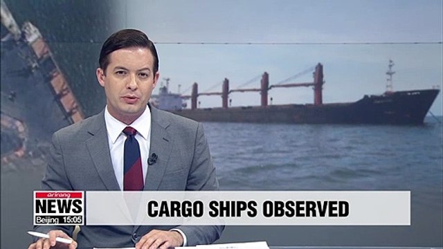 Satellite images show cargo ship activities at N. Korea's Nampo Port: Report