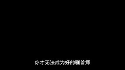 StoneAge S01 01 Chinese