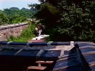 사다리게임플래시 https://www.nologo02.com「˙카지노사이트˙」