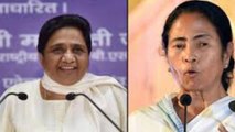 Mayawati का PM Modi पर वार, Mamata Banerjee को क्यों परेशान कर रहे हैं PM Modi | वनइंडिया हिंदी