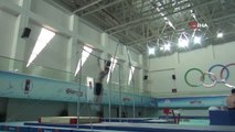 Artistik Cimnastik Büyük Erkekler Milli Takımı, Takım Halinde Olimpiyatlara Gitmek İstiyor