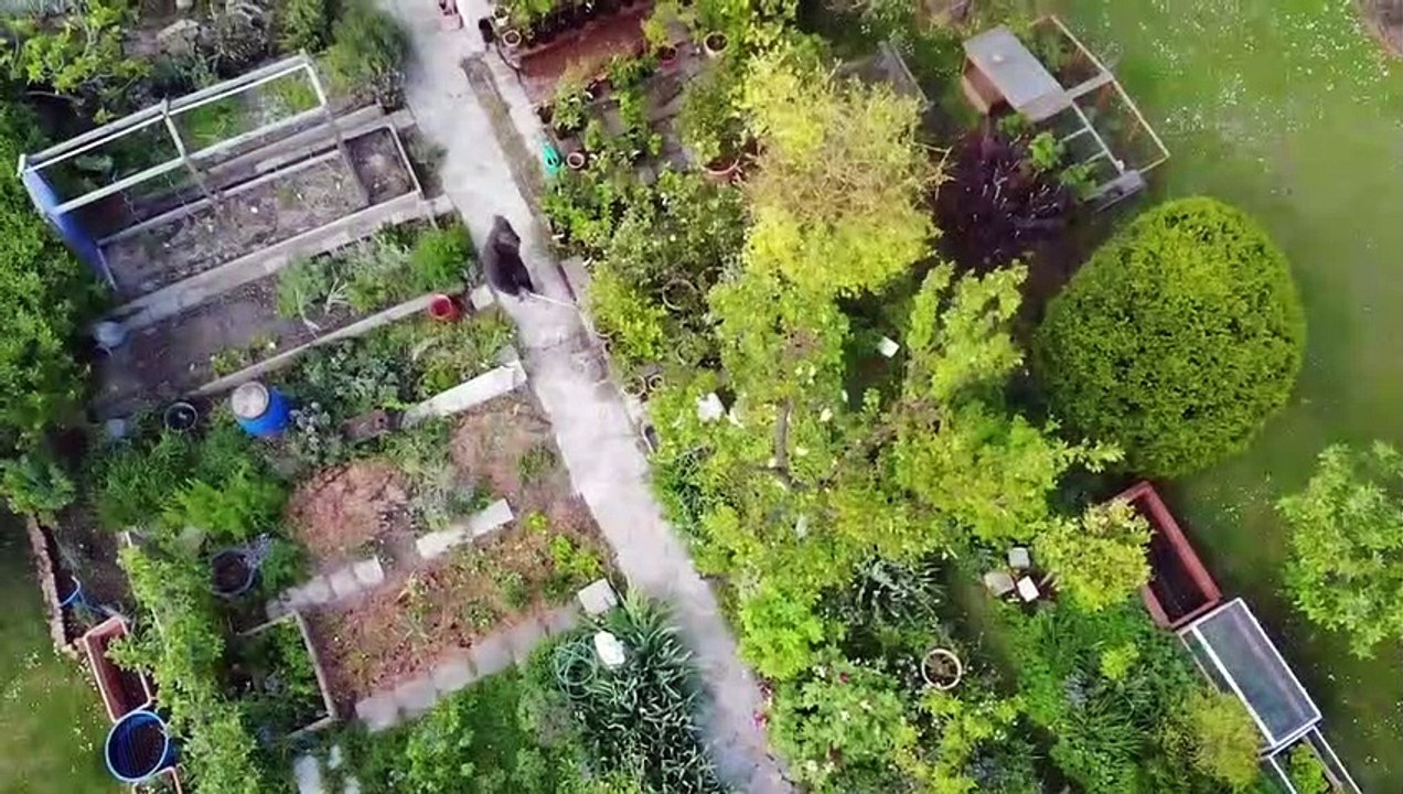 GLOBAL 2000 gründet den Nationalpark Garten