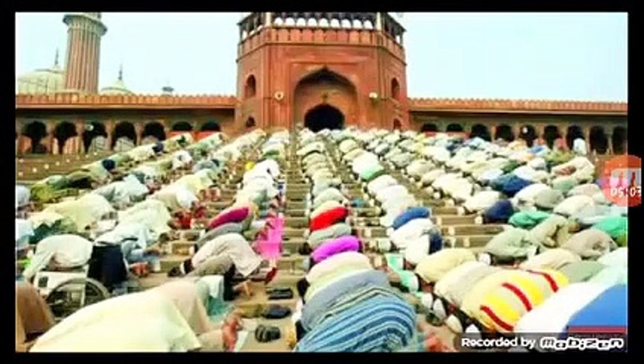 EL ISLAM REINARÁ GRACIAS A LOS PROGREBOBOS