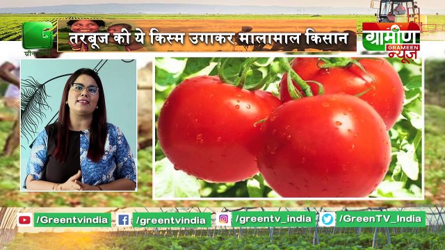 Watermelon की ये किस्म उगाकर मालामाल किसान - Kisan Bulletin 16 May 2019 | Green TV