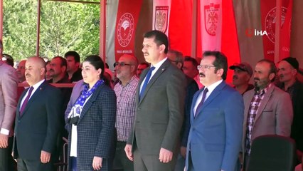 Sivas'ta ücretsiz sebze fideleri dağıtıldı