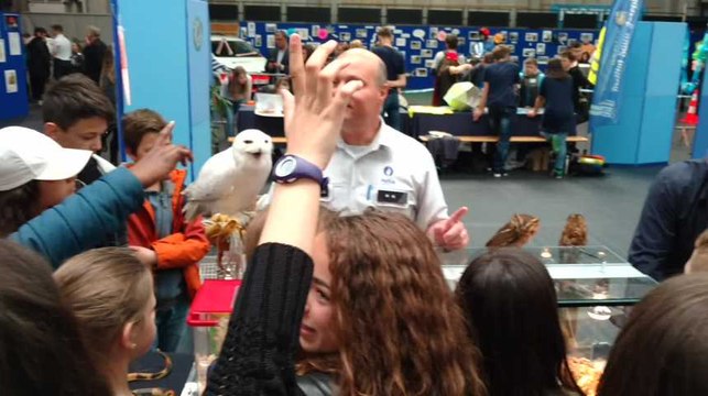 Quaregnon.Les enfants des écoles au parrainage de lla Zip Boraine.Video Eric Ghislain la Zip Borains.Video Eric Ghislai