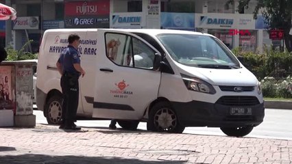 Antalya Kendisini Isıran Köpeği, Belediye Ekiplerine Yakalattı