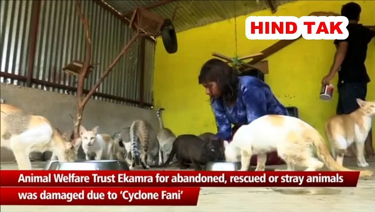 Cyclone Fani-hit animal shelter's Reconstruction - Odisa #CycloneFani #AnimalShelter #Odisa