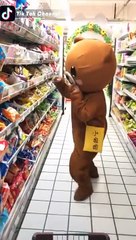 Funny Brown Bear Musically TikTok Compilation 2019 -04