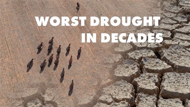 Severe droughts are affecting Angola and North Korea