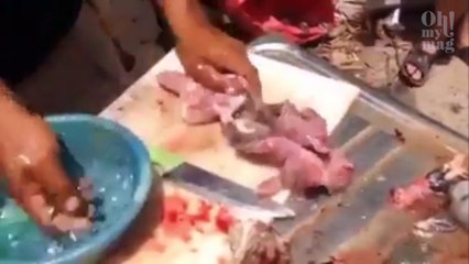 Grita muerta del miedo al ver que la carne que está preparando cobra vida