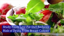 Study Finds Low-Fat Diet Reduces Risk of Dying From Breast Cancer