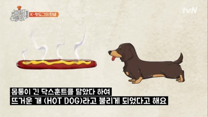 핫도그, 콘도그? 그리고 코리안 핫도그?? 핫도그 바로알기
