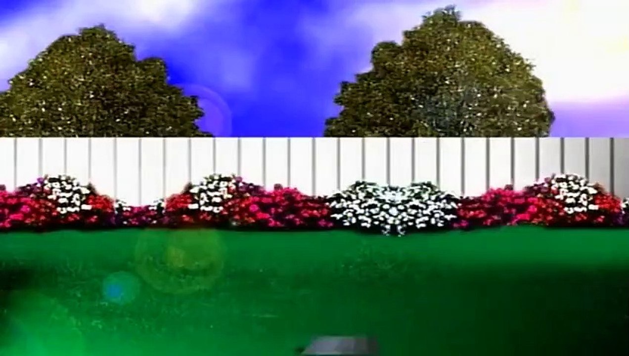 Home Improvement  S 08 E 17  Young At Heart