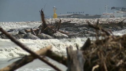 3.000 toneladas de madera en las playas de Rimini