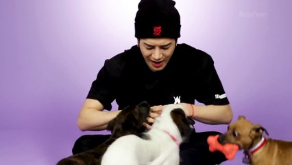 Jackson Wang Plays With Puppies While Answering Fan Questions