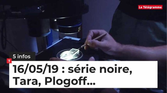 Série noire, Tara, Plogoff, Stade Rennais... Cinq infos bretonnes de ce 16 mai