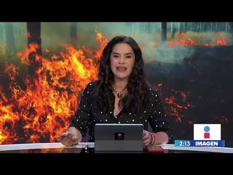 Reportan 10 incendios activos en Oaxaca | Noticias con Yuriria Sierra