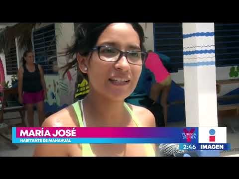 El sargazo provoca la muerte de especies marinas y aves en playas de México | Noticias con Yuriria