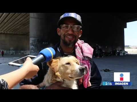 Migrantes deportados construyen refugios con basura en Tijuana | Noticias con Yuriria Sierra