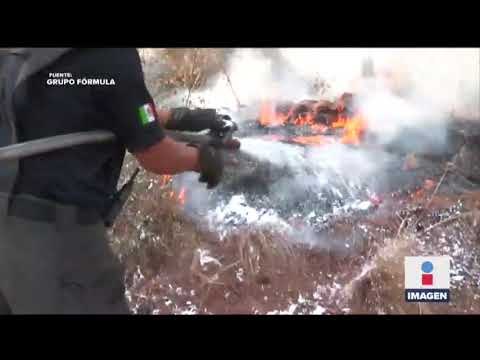 Se incendió parque en el Ajusco | Noticias con Ciro Gómez Leyva