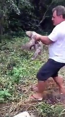 Un homme vient aider un paresseux à traverser la route. Moment adorable