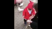 Cette fillette aime bien nourrir les oiseaux. Mais eux n'aiment pas trop