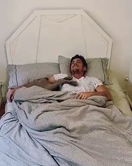 Hilarant : il dort avec ses chiens !