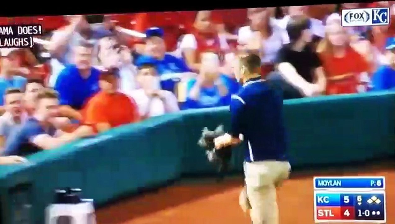 Compilation des chats qui s'en prennent aux humains ! Best of 2019