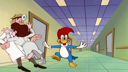 El Pajaro Loco vs Señorita Meany Compilación | Momentos Juntos | Dibujos Animados en Español