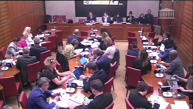 Commission des affaires culturelles : M. Emmanuel Ethis, vice-président du Haut Conseil de l’Éducation Artistique et Culturelle - Mercredi 15 mai 2019