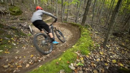 Trek Fuel EX 9.9 VS. Specialized S-Works Stumpjumper - 2018 Bible of Bike Tests