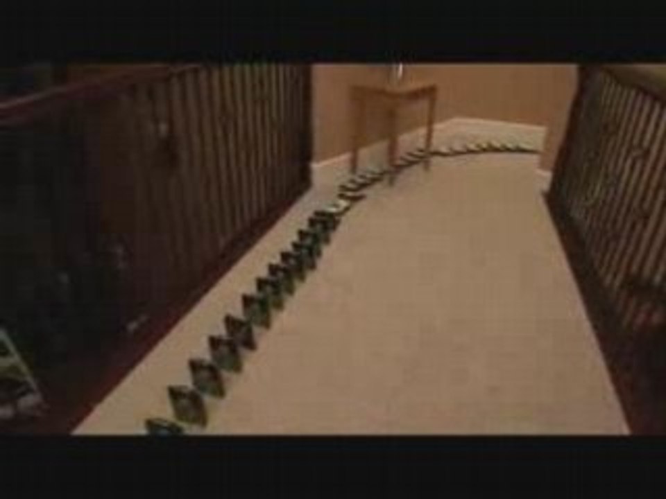 Domino faite avec 1500 disques dur