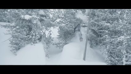 Monday Mallet: Beyond Medals Tree Slam