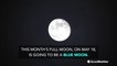 Catch the Blue Moon rising on May 18