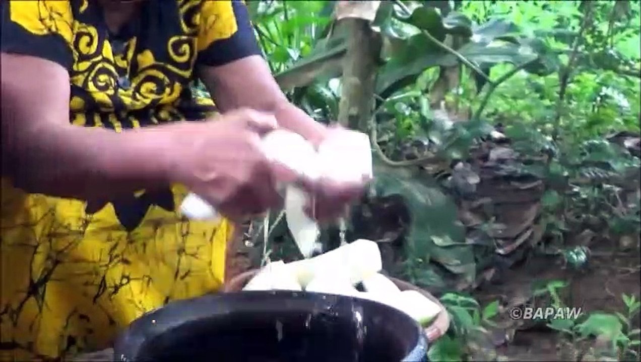 Village des Aliments - Cuisson Hiver Melon (Ash Gourde) Curry de ma Mère / la Vie du Village