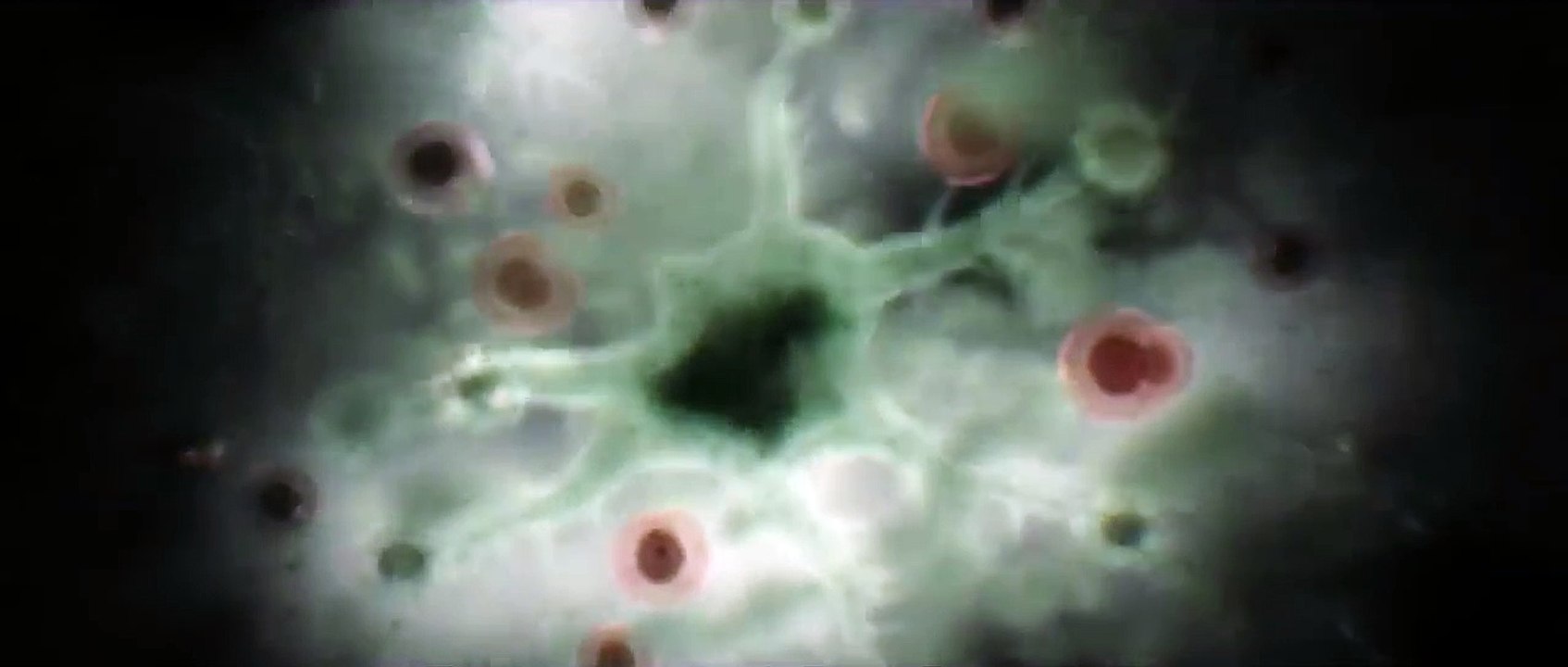 Swamp Thing Alec Trailer (2019) DC Universe series